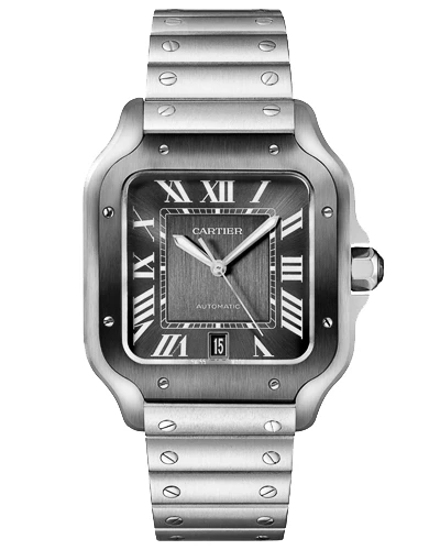 Часы Cartier Santos WSSA0037